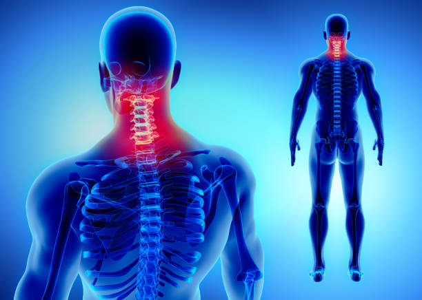 3D illustration of Cervical Spine, medical concept. stock photo