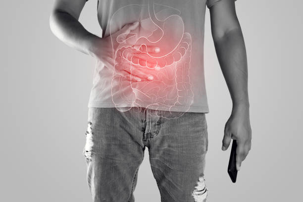 Illustration of internal organs is on the man body against the gray background. Peopel touching stomach painful suffering from enteritis. internal organs of the human body. stock photo