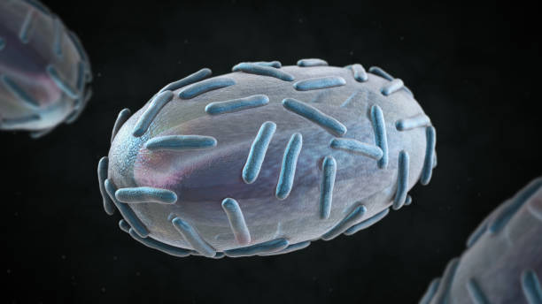 illustrazione 3d del virus del vaiolo - vaiolo foto e immagini stock