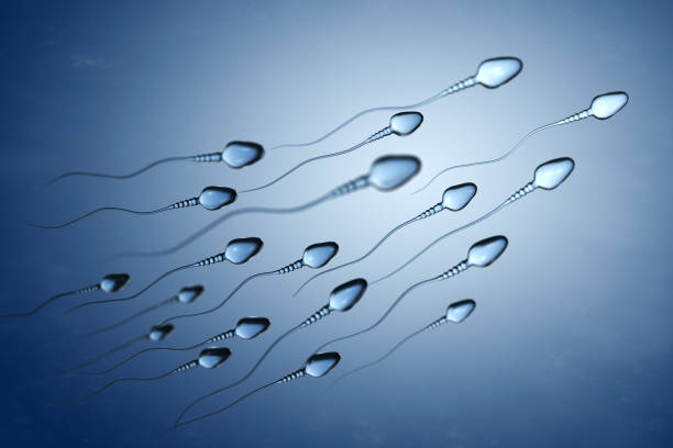 Illustration of sperm cells stock photo