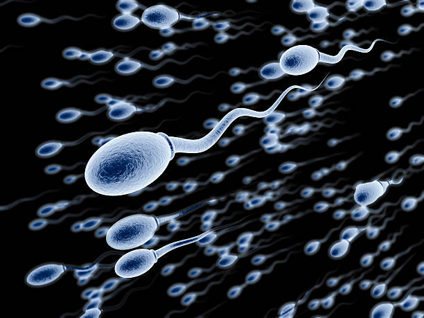 Illustration of sperms swimming on a black background stock photo
