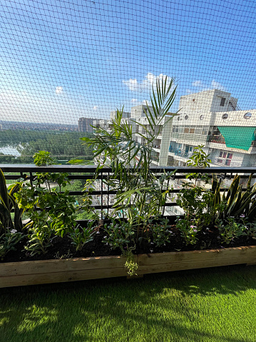 Stock photo of apartment balcony in Ghaziabad, India decorated with exotic house plants in wooden trough raised beds and tiled flooring Gardening and exterior low maintenance design concept.