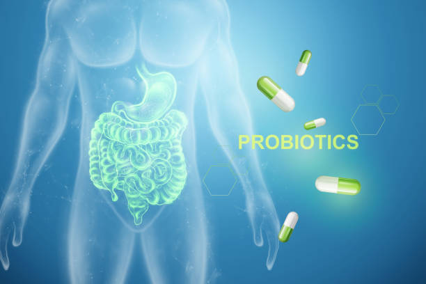 Image of intestines and pills, inscription probiotics. The concept of diet, intestinal microflora, microorganisms, healthy digestion. 3D render, 3D illustration. stock photo
