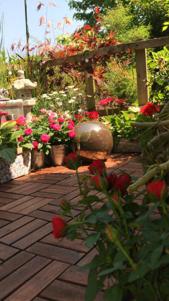 Image of small garden balcony with flowering plants growing silver zinc pots buckets, pink red miniature roses / patio daisy flowers, marguerite daisies, pedestal granite stone Japanese lantern, Zen gardening outdoor flooring, timber floor decking tiles Stock photo showing a flower pot with dark red rose flowers, miniature pot plant growing in summer garden, miniature roses from supermarket garden centre growing as romantic houseplant. Metal Deck Vendor and Retailer stock pictures, royalty-free photos & images