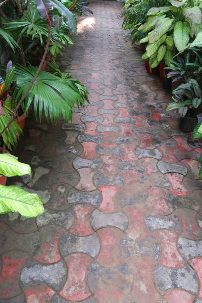 Image of tessallating shaped pavers, garden footpath lined by broad jungle-style plants Photo showing an ornamental jungle garden, with lush beds of broadleaf plants lining a garden path paved with shaped pavers. tessellation stock pictures, royalty-free photos & images