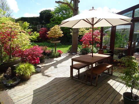 Photo showing a contemporary style Japanese garden, with a large area of timber decking.  A wooden table and benches provide a spot for al fresco dining, being shaded from the sun by a cream parasol umbrella.  The garden also features bonsai trees, bamboo, Japanese maples, grasses and azaleas.