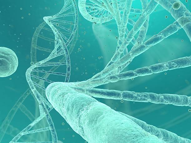 DNA image stock photo
