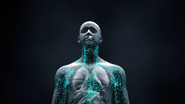 immune system defends the body against infections and diseases - corpo humano imagens e fotografias de stock