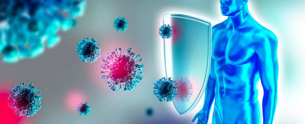 Immune system of human, protection against viruses and bacterias. Humans shield against the coronavirus. Immune defense fights with viruses. Covid-19 concept.  3D rendering. immune system stock pictures, royalty-free photos & images