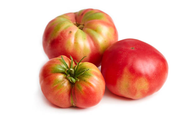 onvolmaakt erfstuk biologische tomaten - onvolkomenheid stockfoto's en -beelden