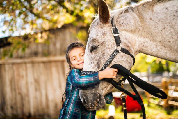 若い少女と馬の美しい秋の紅葉シーズン - 馬 ストックフォトと画像