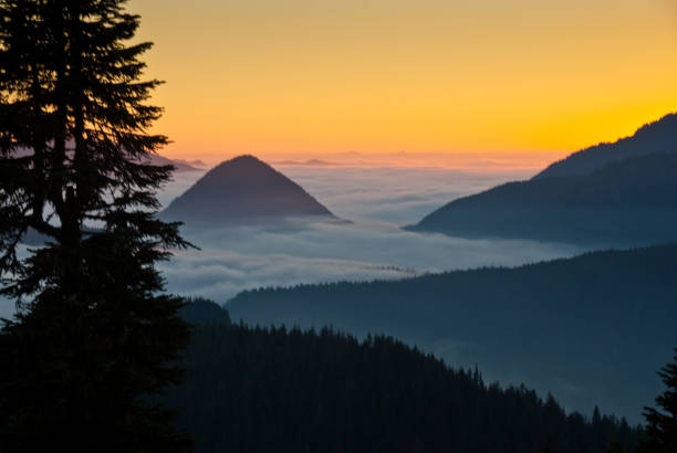 Foggy Peaks at Sunset In September and October, the Puget Sound country is often blanketed with fog all day. To get out of the fog and into sunshine just drive above it into the mountains. This view of the foggy lowlands was photographed at sunset from Paradise at Mount Rainier National Park, Washington State, USA. jeff goulden sunset stock pictures, royalty-free photos & images