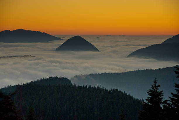Peaks Above the Fog at Sunset In September and October, the Puget Sound country is often blanketed with fog all day. To get out of the fog and into sunshine just drive above it into the mountains. This view of the foggy lowlands was photographed at sunset from Paradise at Mount Rainier National Park, Washington State, USA. jeff goulden mount rainier national park stock pictures, royalty-free photos & images