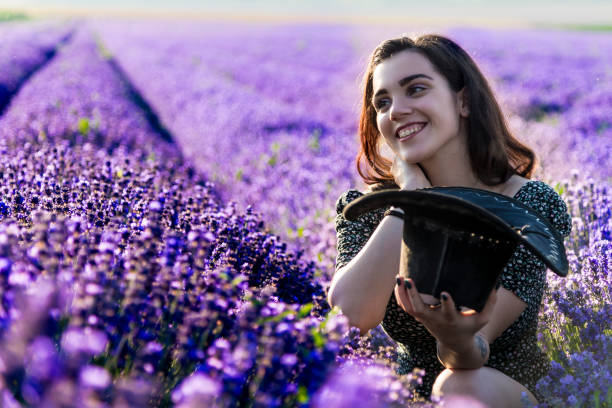 In the middle of the lavender field stock photo