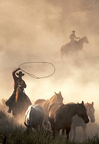 in the west - cowboy horse bildbanksfoton och bilder