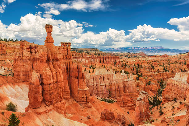 Incredible Bryce Canyon National Park, Utah Great spires carved away by erosion in Bryce Canyon National Park, Utah, USA. The largest spire is called Thor's Hammer. bryce canyon national park stock pictures, royalty-free photos & images