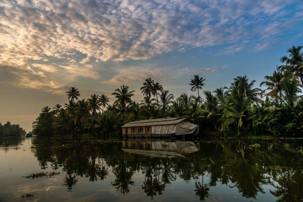 Indian backwater reflection, Kumarakom stock photo