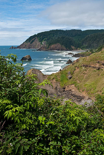 Indian Beach from Ecola Point The landscapes and seascapes of the Pacific Coast are a constant source of inspiration for photographers. This picture of Indian Beach and the Pacific Ocean was photographed from Ecola Point at Ecola Point State Park near Cannon Beach, Oregon, USA. jeff goulden oregon coast stock pictures, royalty-free photos & images