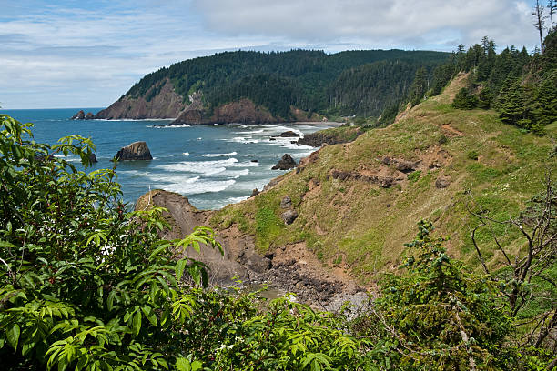 Indian Beach from Ecola Point The landscapes and seascapes of the Pacific Coast are a constant source of inspiration for photographers. This picture of Indian Beach and the Pacific Ocean was photographed from Ecola Point at Ecola Point State Park near Cannon Beach, yyy, USA. jeff goulden oregon coast stock pictures, royalty-free photos & images