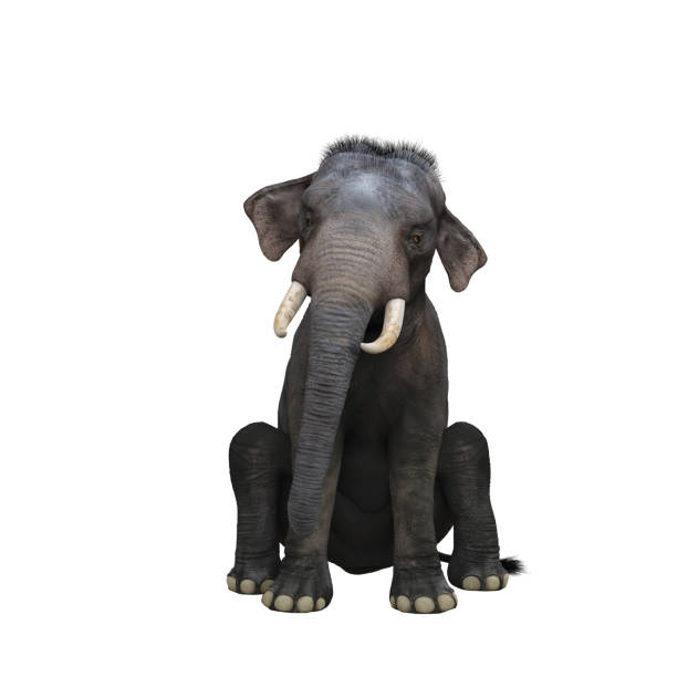 Indian elephant sitting. 3D illustration. stock photo