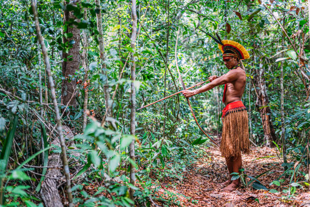 Indian from the Pataxó tribe with feather headdress looking to the right. Indian from the Pataxó tribe with feather headdress looking to the right. Indigenous from Brazil with traditional facial paintings. Anthropology stock pictures, royalty-free photos & images