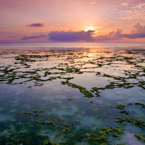 Indian Ocean off the coast of Zanzibar stock photo
