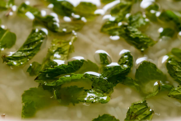 Indian special food water rice close view garnishes with peppermint leafs & ginger with lemon juice. stock photo