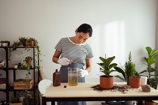Beautiful and cheerful woman adding nameless fertilizer from a measuring cup into the bowl of water