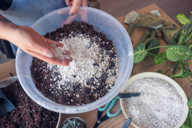 Indoor potted plant care in spring Indoor potted plant care in spring. A caucasian woman mixing plant soil with perlite in the container. Top view. potting stock pictures, royalty-free photos & images