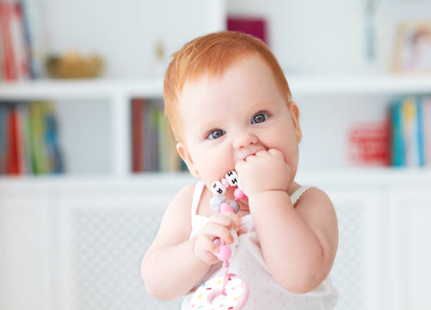 infant baby girl biting silicone nibbler toy stock photo