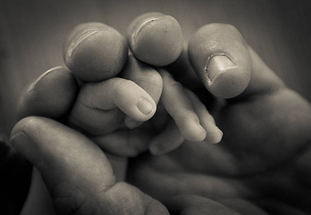 infant hand stock photo