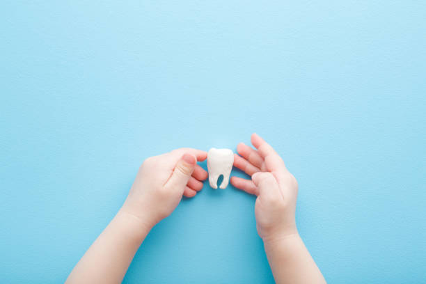 Infant hands holding white tooth on light blue table background. Pastel color. Babies teeth hygiene. Closeup. Point of view shot. Top down view. stock photo