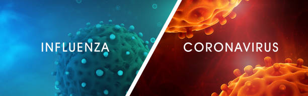 Influenza vs. Coronavirus - The Differences stock photo