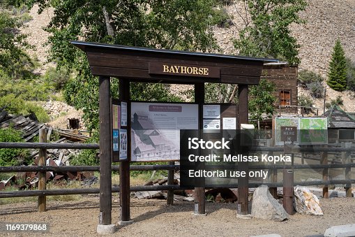 istock Information center for the ghost town of Bayhorse Idaho in the Salmon Challis National Forest 1169379868