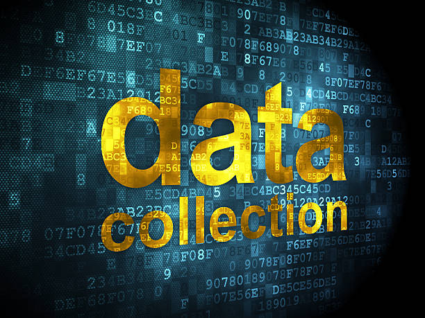 Information concept: data collection on digital background Information concept: pixelated words data collection on digital background, 3d render collection stock pictures, royalty-free photos & images