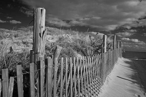 Infrared Beach Fence stock photo