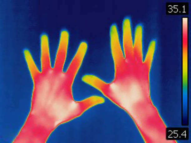 Infrared thermal image of female human hands Image taken with Flir T420 infra red camera. Each color represents different temperatures, as is shown on spectrum scale on right side of image. infrared stock pictures, royalty-free photos & images