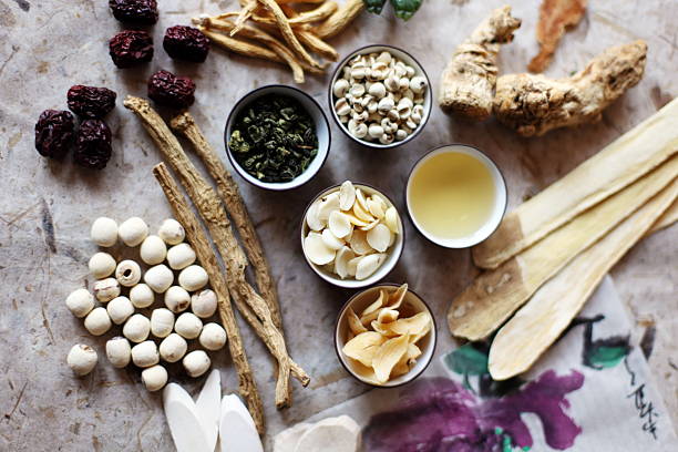 Ingredients of Chinese herbal medicine elements stock photo