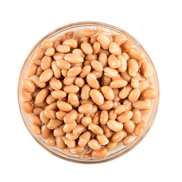 Ingredients: Pinto Beans stock photo