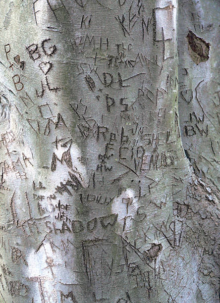 Initials Carved on Tree stock photo