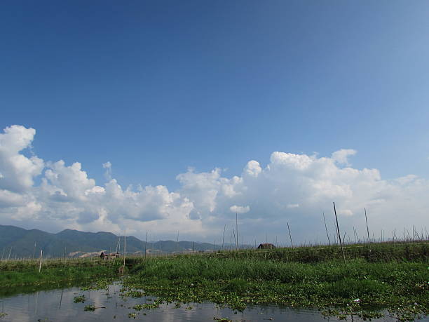 Inle Lake garden landscape with blue sky stock photo