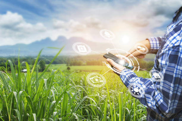 Innovation technology for smart farm system, Agriculture management, stock photo