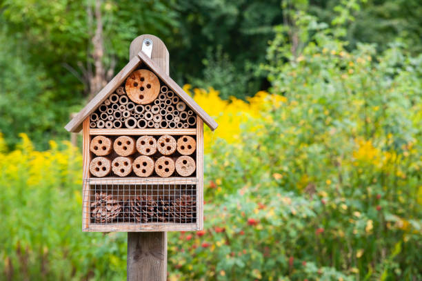 Insect hotel in the city park Insect hotel in the city park insect stock pictures, royalty-free photos & images