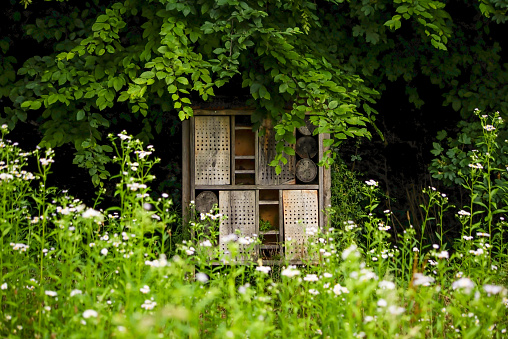 insect house in the garden. Bug hotel at the park in flowers field.