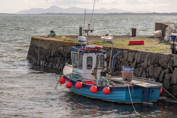 Inshore fishing boat moored at a stone pier Inshore fishing boat moored at a stone pier at Kircubbin, County Down (Northern Ireland).  In the distance is Strangford Lough and the outline of the Mourne Mountains. strangford lough stock pictures, royalty-free photos & images