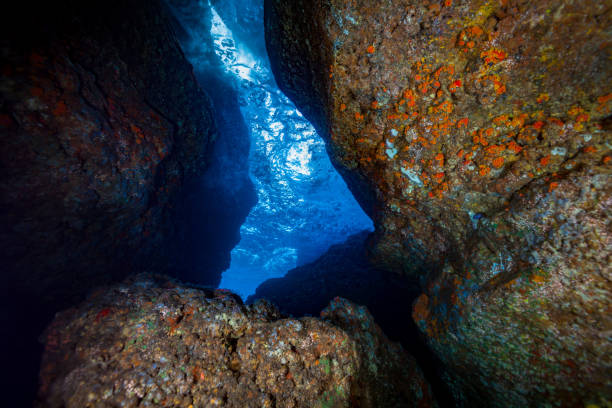 manuk 섬, 반 다 해, 인도네시아의 작은 동굴 내부 - snake island 뉴스 사진 이미지
