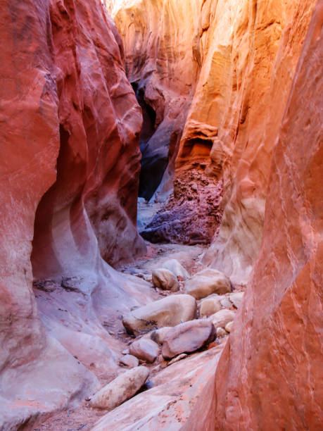 Inside Dryfork slot canyon The colorful, sandstone walls of the Dryfork Slot canyon, in the Grand Staircase-Escalante National Monument, Utah, USA, aglow in the light from the noon sun entering it from above. This is the northernmost branch of Coyote Gulch, where occasional flash floods have carved a deep narrow groove into the Navajo Sandstone. garfield county utah stock pictures, royalty-free photos & images