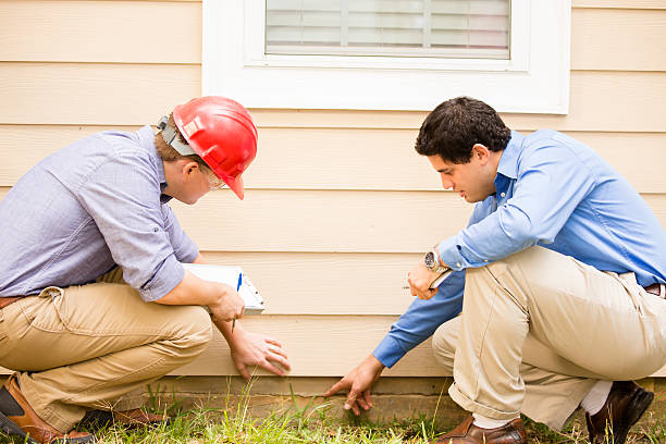 Inspectors or blue collar workers examine building wall, foundation. Outdoors. stock photo