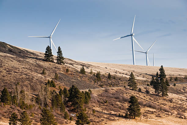 Wind Turbines on an Eastern Washington Hillside Installed wind power capacity in Washington State has grown in recent years and the state now ranks among the top ten in the nation with the most wind power installed. As of 2016, wind energy accounted for 7.1% of all energy generated in Washington State. These turbines operate in the Kittitas Valley near Ellensburg, Washington State, USA. jeff goulden wind energy stock pictures, royalty-free photos & images