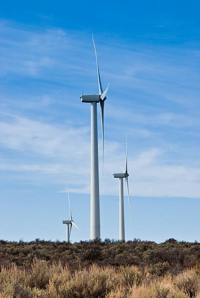 Three Wind Turbines in the Eastern Washington Desert Installed wind power capacity in Washington State has grown in recent years and the state now ranks among the top ten in the nation with the most wind power installed. As of 2016, wind energy accounted for 7.1% of all energy generated in Washington State. These turbines operate at Rygrass Summit near Vantage, Washington State, USA. jeff goulden wind energy stock pictures, royalty-free photos & images